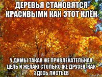 деревья становятся красивыми как этот клён у димы такая же привлекательная цель и желаю столько же друзей, как здесь листьев