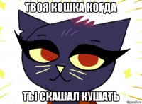 твоя кошка когда ты скашал кушать