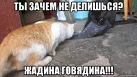 ты зачем не делишься? жадина говядина!!!