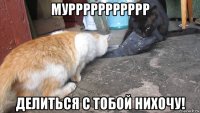 муррррррррррр делиться с тобой нихочу!
