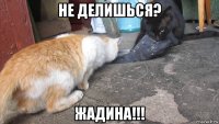 не делишься? жадина!!!