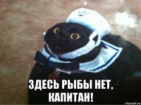  здесь рыбы нет, капитан!