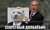  секретный долбоёбик