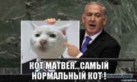 кот матвея...самый нормальный кот !