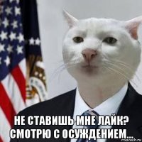  не ставишь мне лайк? смотрю с осуждением...