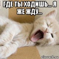 где ты ходишь... я же жду... 
