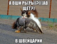 а вши рь(ры)?(((ав щёт?) в швейцарии