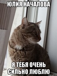 юлия началова я тебя очень сильно люблю