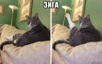 зига 