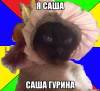 я саша саша гурина