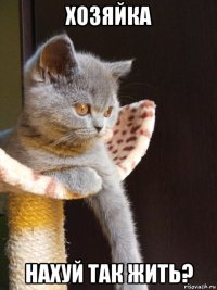хозяйка нахуй так жить?