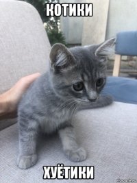 котики хуётики