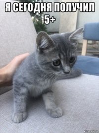 я сегодня получил 5+ 