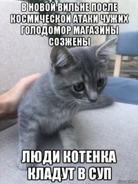 в новой вильне после космической атаки чужих голодомор магазины созжены люди котенка кладут в суп