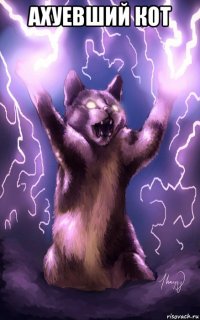 ахуевший кот 