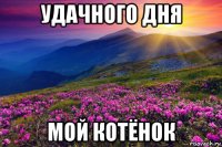 удачного дня мой котёнок
