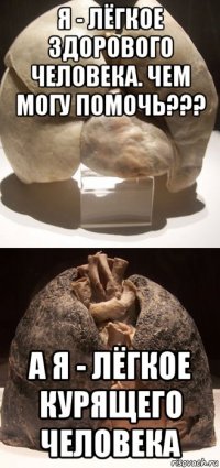 я - лёгкое здорового человека. чем могу помочь??? а я - лёгкое курящего человека