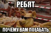 ребят почему вам поеабать