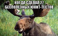 когда сделал 27 бесполезных юнит-тестов 