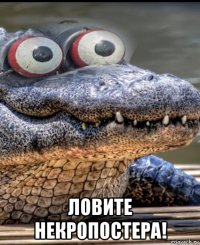  ловите некропостера!