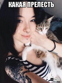 какая прелесть 