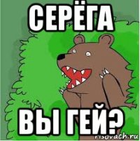 серёга вы гей?