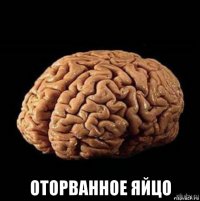  оторванное яйцо
