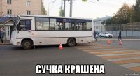  сучка крашена
