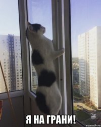  я на грани!