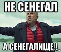 не сенегал а сенегалище !