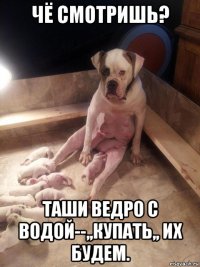 чё смотришь? таши ведро с водой--,,купать,, их будем.