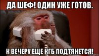 да шеф! один уже готов. к вечеру еще кгб подтянется!