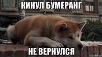 кинул бумеранг не вернулся