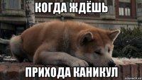 когда ждёшь прихода каникул
