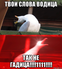 твои слова водица так не гадица!!!!1111!!!!