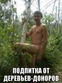  подпитка от деревьев-доноров