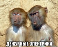  дежурные электрики
