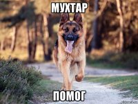 мухтар помог