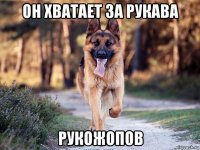 он хватает за рукава рукожопов
