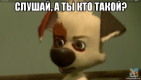 слушай, а ты кто такой? 