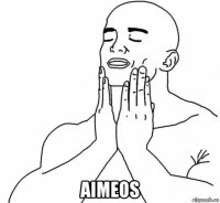  aimeos