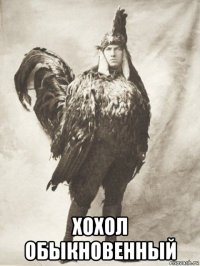  хохол обыкновенный