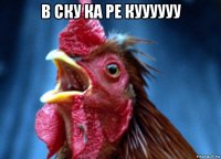 в ску ка ре куууууу 