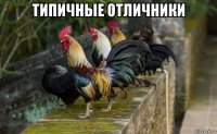 типичные отличники 