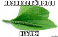 мясниковский притон не болей