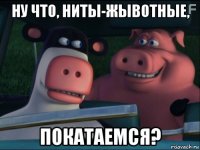 ну что, ниты-жывотные, покатаемся?