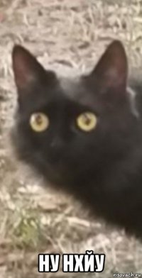  ну нхйу