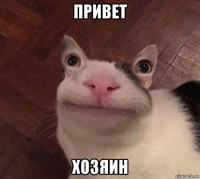 привет хозяин