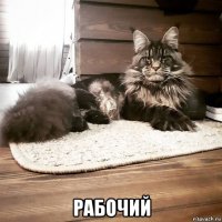  рабочий