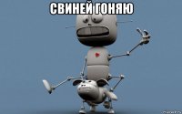 свиней гоняю 